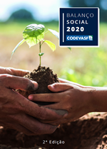 Balanço Social 2020.png Balanço Social 2020.png