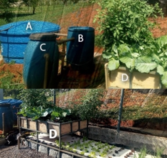 Figura 1: Unidade demonstrativa de criação de tilápia integrada com cultivo de hortaliças na Codevasf Sede: “A” indica o tanque de criação do pescado; “B” é o filtro de decantação de resíduos não solubilizados; “C” é o filtro biológico; e, “D” cama de produção de hortaliças. Fotos cedidas pela Unidade de Recursos Pesqueiros e Aquicultura (AR/GDT/UPA).