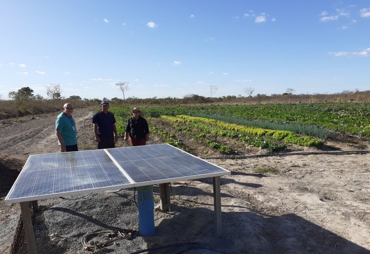 Figura 1 - Visita de técnicos da Codevasf - DF e Emater – GO a produtor de hortaliças com kit irrigado de poço utilizando-se de energia solar - Flores de Goiás-Go – Setembro-2022..jpg