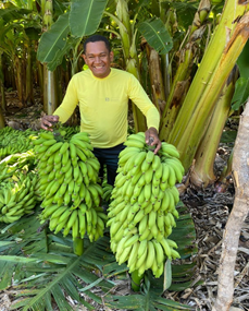 Figura 1. Produtor Greg Santos Nascimento em Projeto Pública de Irrigação de Mirorós_Ibipeba-BA..png Figura 1. Produtor Greg Santos Nascimento em Projeto Pública de Irrigação de Mirorós_Ibipeba-BA..png