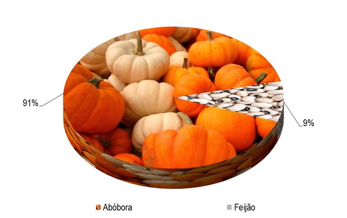 Gráfico 1 - Principal espécie cultivada no projeto Baixio de Irecê, de acordo com o VBP, no ano de 2023.png Gráfico 1 - Principal espécie cultivada no projeto Baixio de Irecê, de acordo com o VBP, no ano de 2023.png