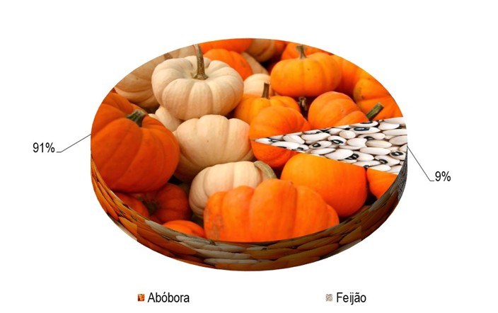 Gráfico 1 - Principal espécie cultivada no projeto Baixio de Irecê, de acordo com o VBP, no ano de 2023.png
