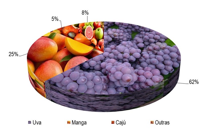 Gráfico 1 - Principais espécies cultivadas no projeto Bebedouro, de acordo com o VBP, no ano de 2023.png Gráfico 1 - Principais espécies cultivadas no projeto Bebedouro, de acordo com o VBP, no ano de 2023.png