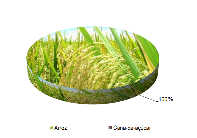 Gráfico 1 - Principais espécies cultivadas no projeto Itiúba, de acordo com o VBP, no ano de 2022.png