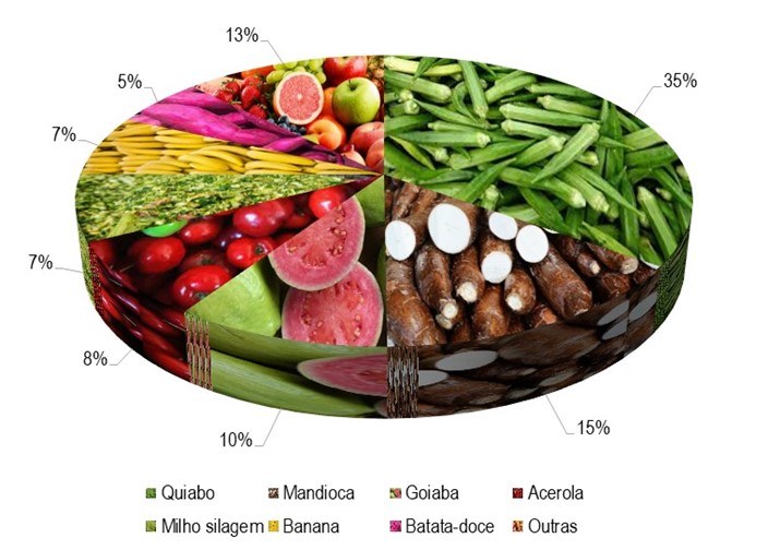 Gráfico 1 - Principais espécies cultivadas no projeto Jacaré-Curituba, de acordo com o VBP, no ano de 2023.png