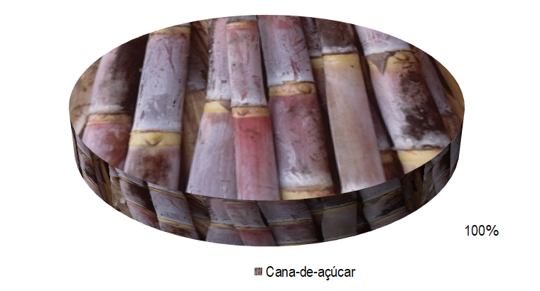 Gráfico 1 - Principal espécie cultivada no projeto Marituba, de acordo com o VBP, no ano de 2022.png