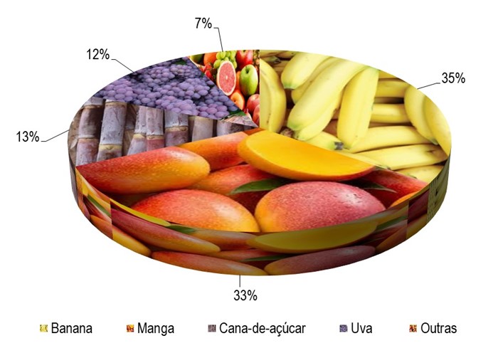 Gráfico 1 - Principais espécies cultivadas no projeto Salitre, de acordo com o VBP, no ano de 2023.png Gráfico 1 - Principais espécies cultivadas no projeto Salitre, de acordo com o VBP, no ano de 2023.png