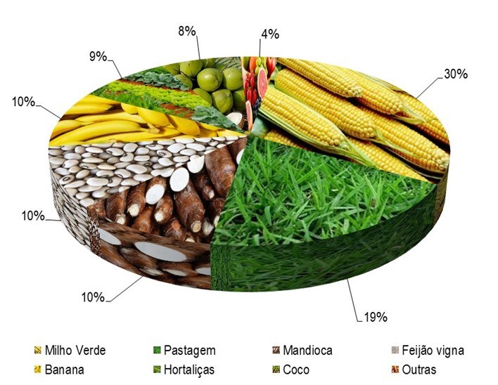 Gráfico 1 - Principais espécies cultivadas no projeto São Desidério-Barreiras Sul, de acordo com o VBP2023.png