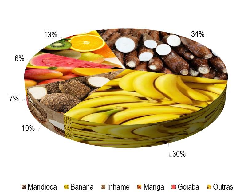 Gráfico 1 - Principais espécies cultivadas no projeto Brígida, de acordo com o VBP, no ano de 2023.jpg
