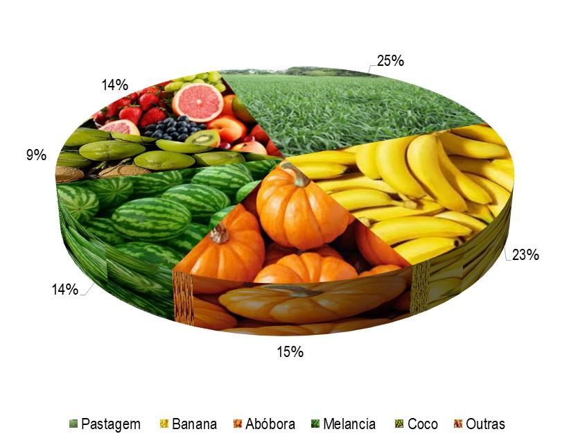 Gráfico 1 - Principais espécies cultivadas no projeto Glória, de acordo com o VBP, no ano de 2023.jpg