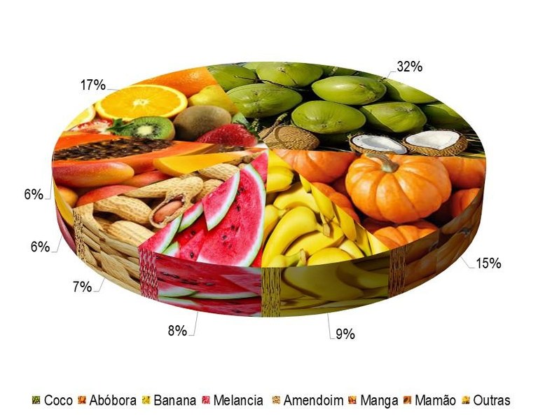 Gráfico 1 - Principais espécies cultivadas no projeto Icó-Mandantes, de acordo com o VBP, no ano de 2023.png