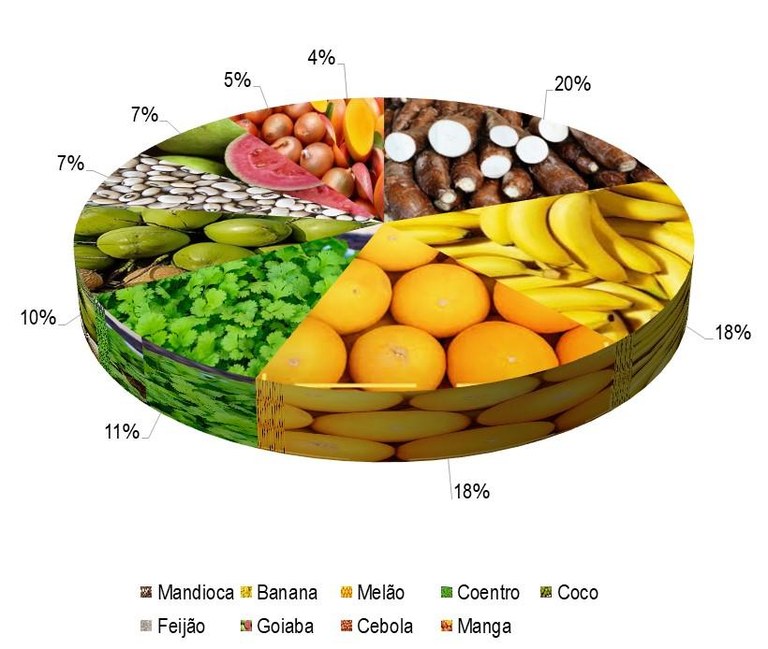 Gráfico 1 - Principais espécies cultivadas no projeto Manga de Baixo, de acordo com o VBP, no ano de 2023.jpg