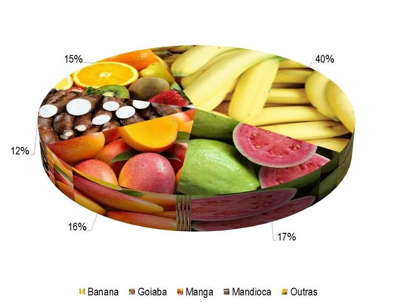 Gráfico 1 - Principais espécies cultivadas no projeto Pedra Branca, de acordo com o VBP, no ano de 2023.jpg
