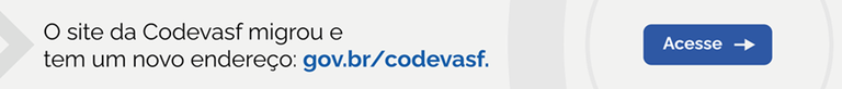 banner-novo-site2 1000.png