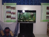 expoense160