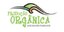 seminario-organico