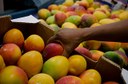 Frutas