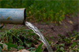 160_palestra-agua-the