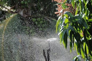 Irrigação - Maranhão
