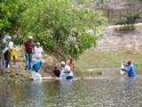 peixamento-nova-esperanca-japaratuba-3