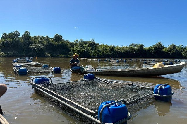 A 15 dias da abertura, Encontro de Pesca e Aquicultura no Piauí bate recorde de inscrições A 15 dias da abertura, Encontro de Pesca e Aquicultura no Piauí bate recorde de inscrições