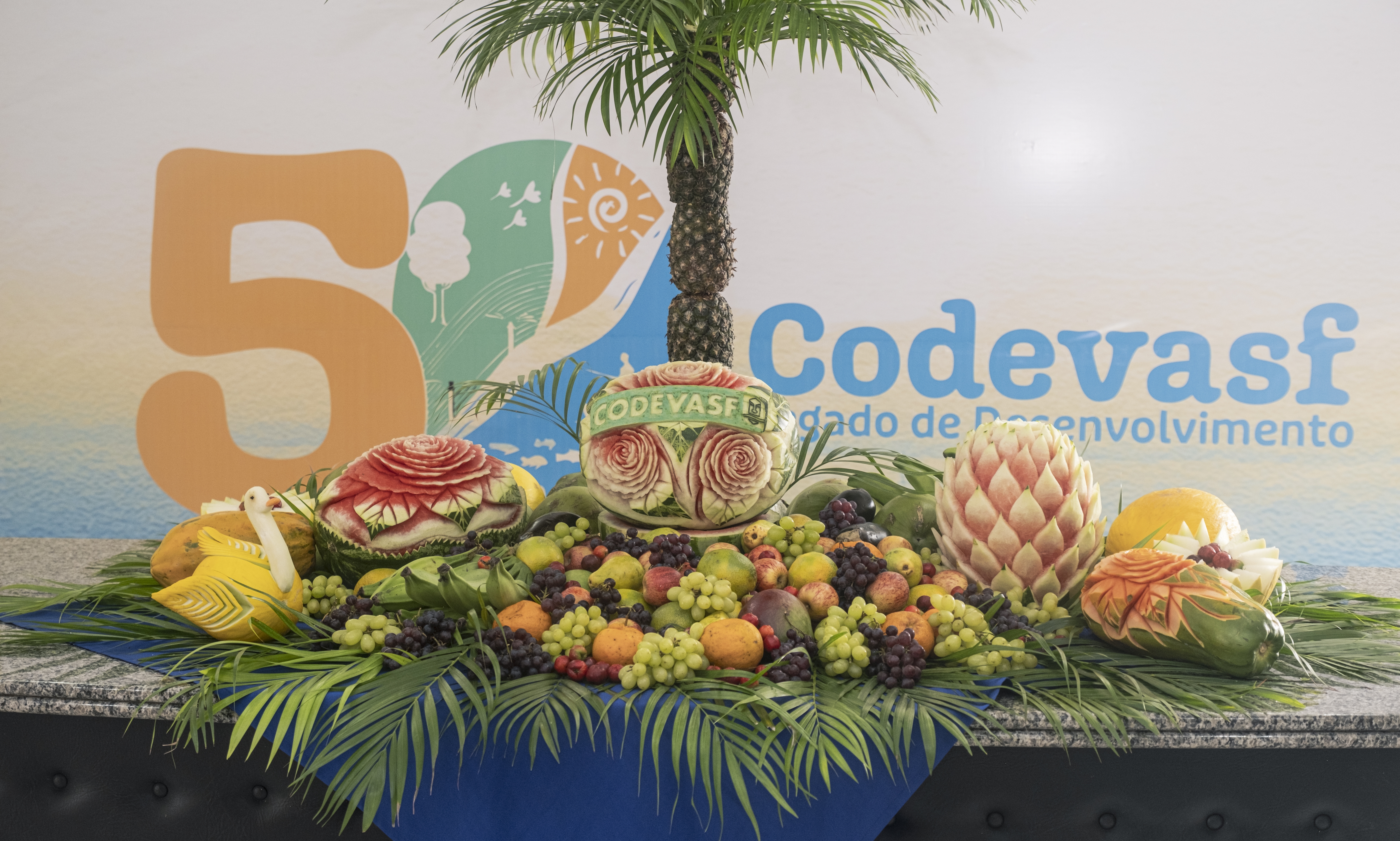 Câmara de Vereadores de Juazeiro homenageia Codevasf pelos 50 anos da empresa 4.JPG