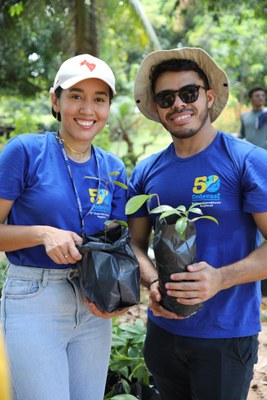 Plantio São Luis 02