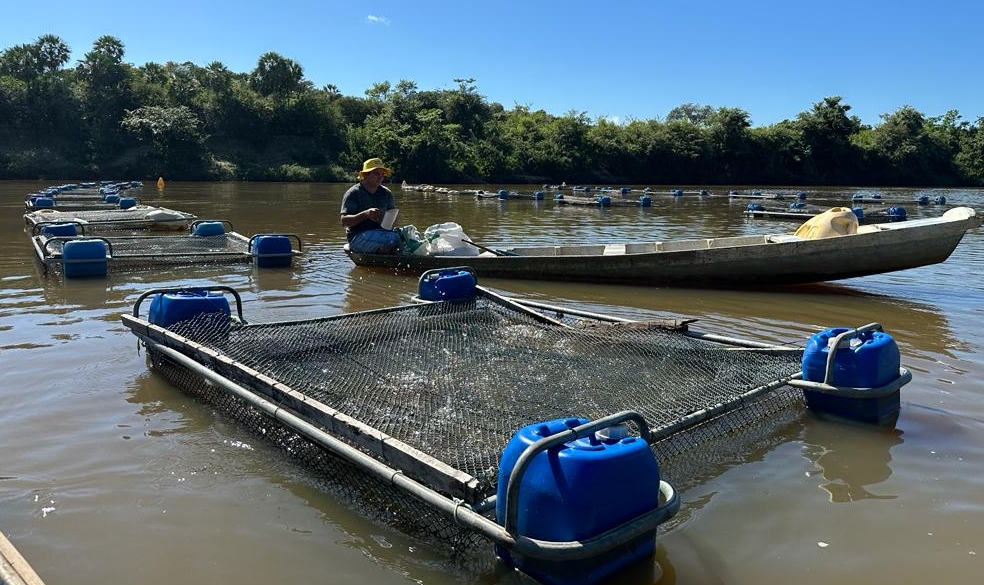 PI: Codevasf investe R$ 11,2 milhões em ações de apoio à produção local no 1º semestre 2.jpeg PI: Codevasf investe R$ 11,2 milhões em ações de apoio à produção local no 1º semestre 2.jpeg