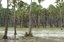 Campos da baixada maranhense - Capa.JPG