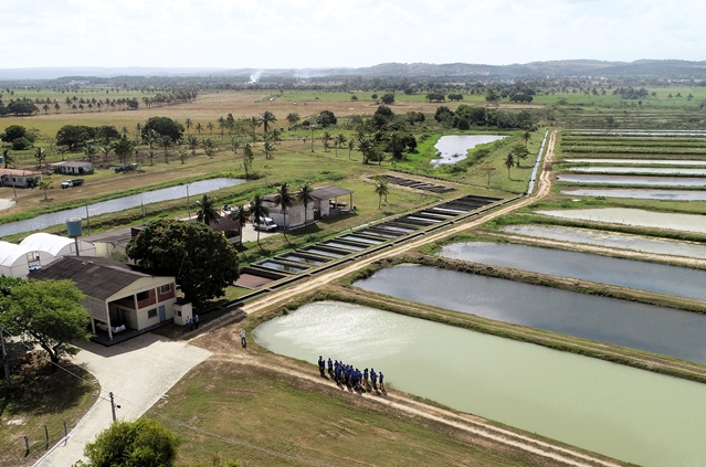 Centro Integrado de Recursos Pesqueiros e Aquicultura de Betume.JPG