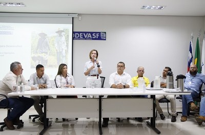 irrigar para desenvolver