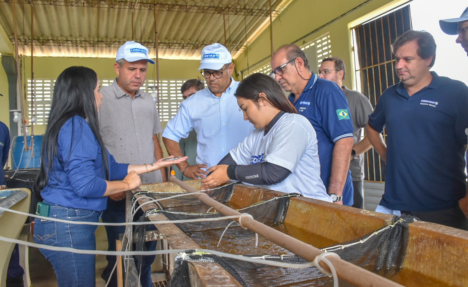 Codevasf apresenta unidades de aquicultura em Sergipe e Alagoas a comitiva do estado do Amapá 2.jpg Codevasf apresenta unidades de aquicultura em Sergipe e Alagoas a comitiva do estado do Amapá