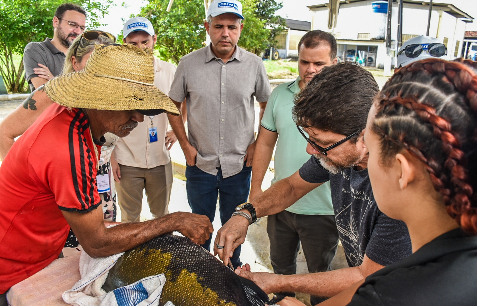 Codevasf apresenta unidades de aquicultura em Sergipe e Alagoas a comitiva do estado do Amapá 3.jpg