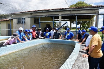Capacitação interior