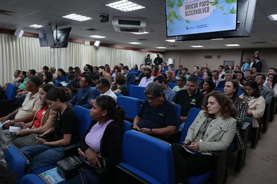 PGM IRRIGAR DESENV 02