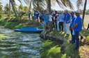 Curso sergipe