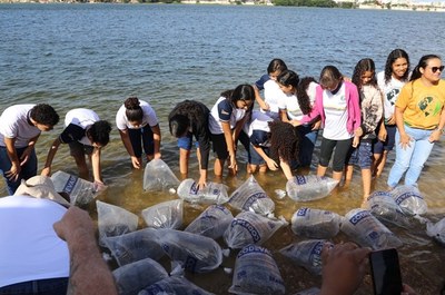 Peixamento niver SF 25