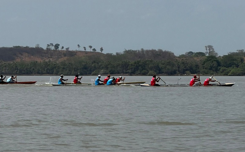 Piracema PI 01