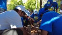 Meliponicultura 1