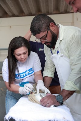 Curso Minas gerais