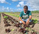 Agricultura irrigada