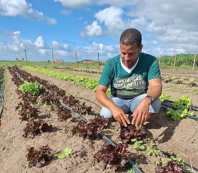 Agricultura irrigada