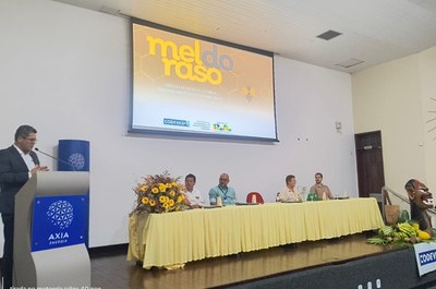 Mel do Raso 1