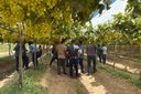 Visita AL PE 02