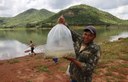 Codevasf realiza peixamentos em barragens administradas pela Companhia