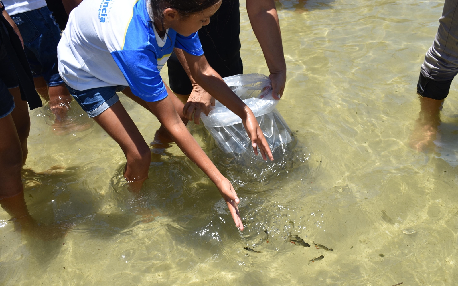 Peixamentos contribuem para desenvolvimento da Lagoa dos Tambaquis, em Sergipe 3.JPG Peixamentos contribuem para desenvolvimento da Lagoa dos Tambaquis, em Sergipe