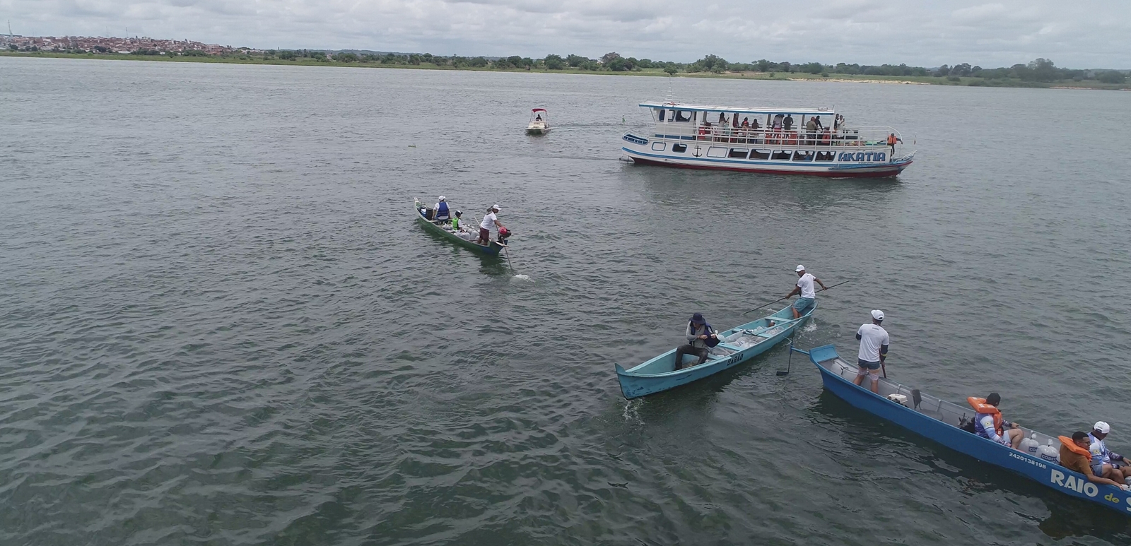 Peixamentos inserem espécies nativas no rio São Francisco em Piaçabuçu e Porto Real do Colégio, em Alagoas 4.JPG