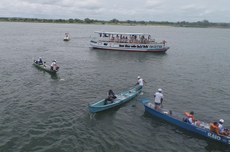 Peixamentos inserem espécies nativas no rio São Francisco em Piaçabuçu e Porto Real do Colégio, em Alagoas