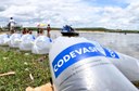 Peixamentos soltam 350 mil alevinos de espécies nativas do São Francisco em Sergipe