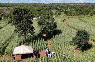 dIA DE cAMPO mg